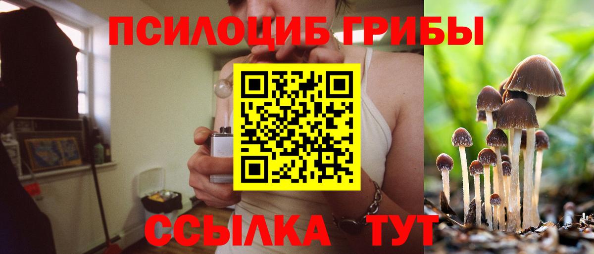 Псилоцибиновые грибы ЛСД Южно-Сахалинск